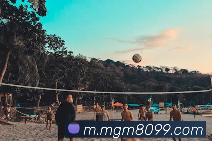 美高梅mgm官网APP 封面图